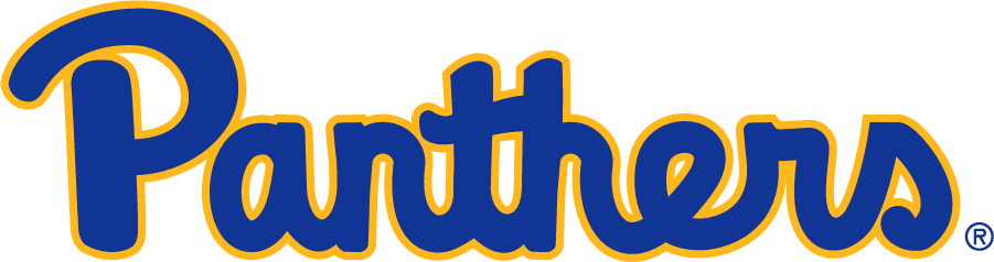 Pittsburgh Panthers 2019-Pres Wordmark Logo v2 diy DTF decal sticker